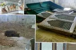 اخبار آرشیوی