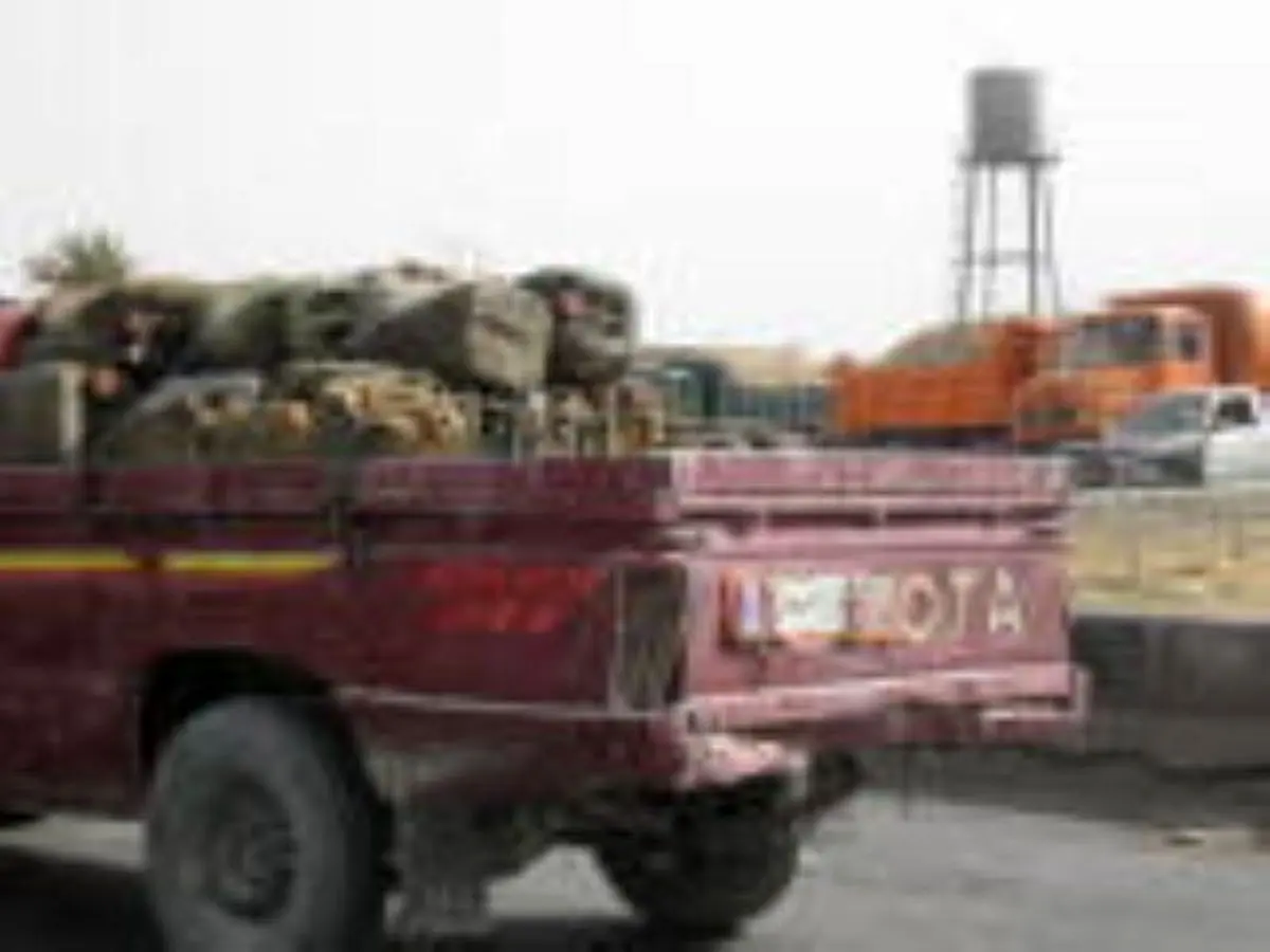 اخبار آرشیوی