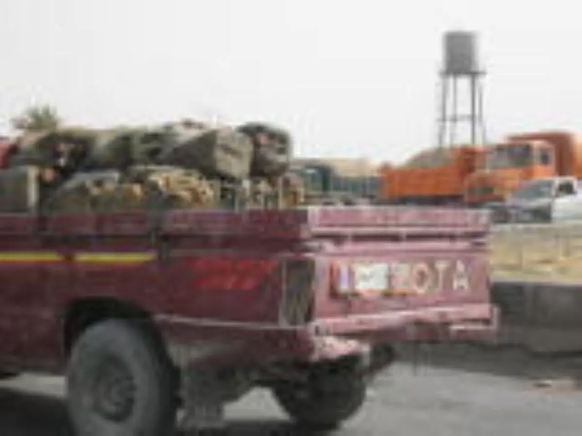 اخبار آرشیوی