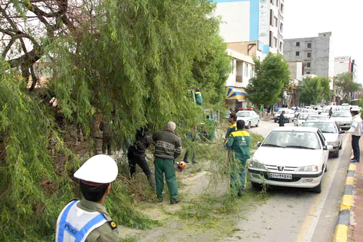 اخبار آرشیوی