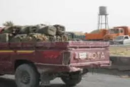 اخبار آرشیوی