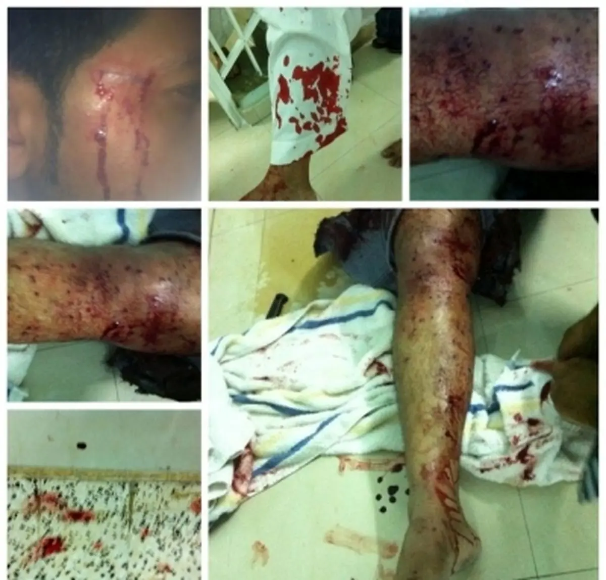 اخبار آرشیوی