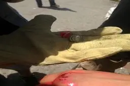 اخبار آرشیوی