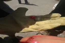 اخبار آرشیوی