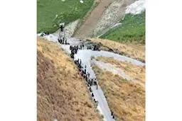 اخبار آرشیوی