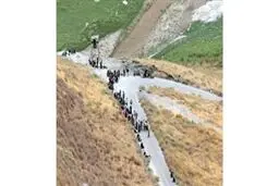 اخبار آرشیوی