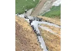 اخبار آرشیوی