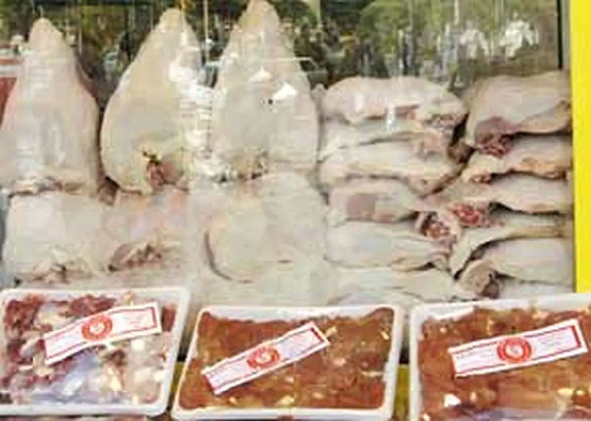 اخبار آرشیوی