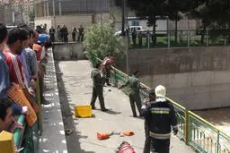 اخبار آرشیوی