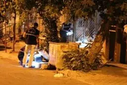 اخبار آرشیوی