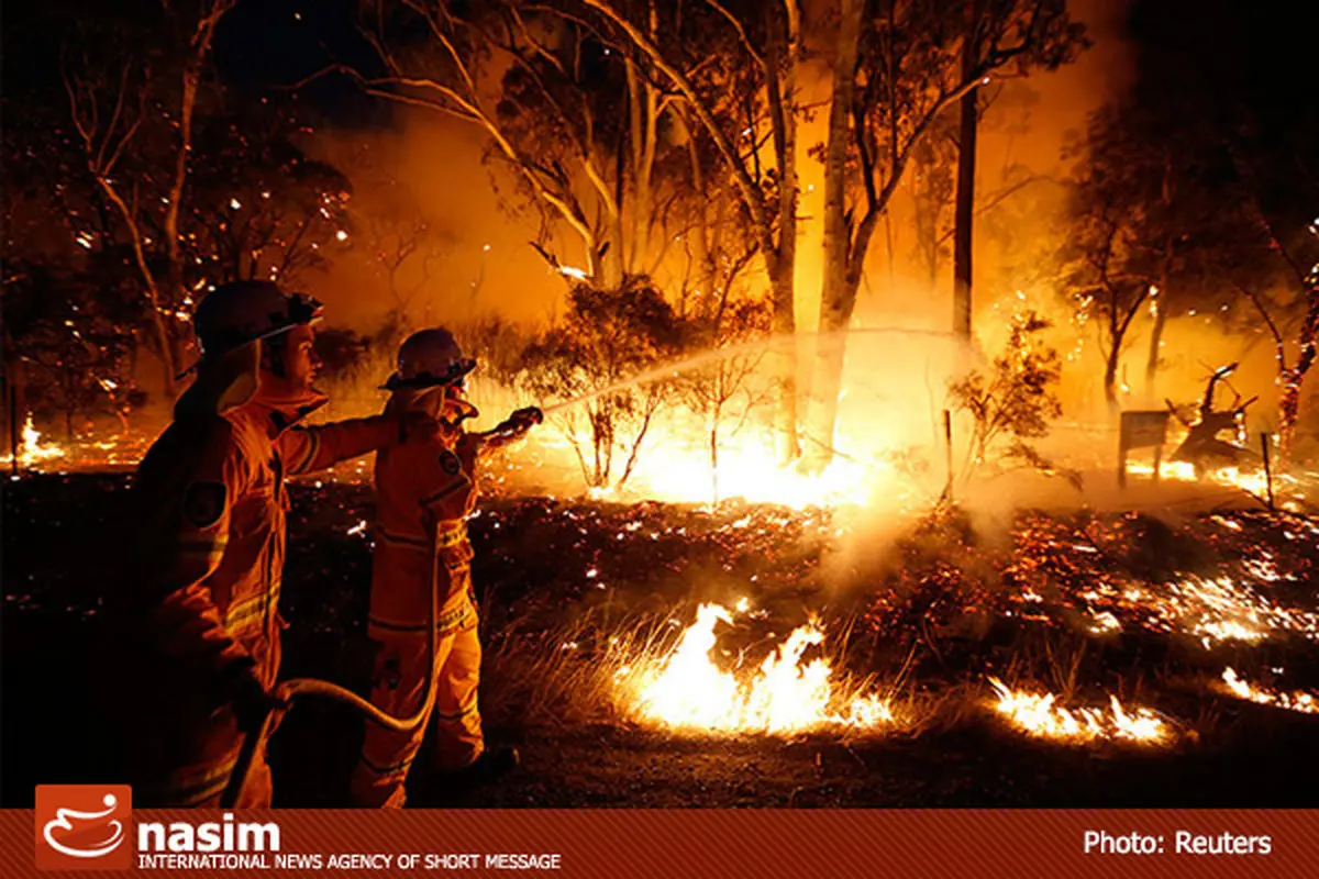 اخبار آرشیوی