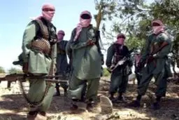 اخبار آرشیوی