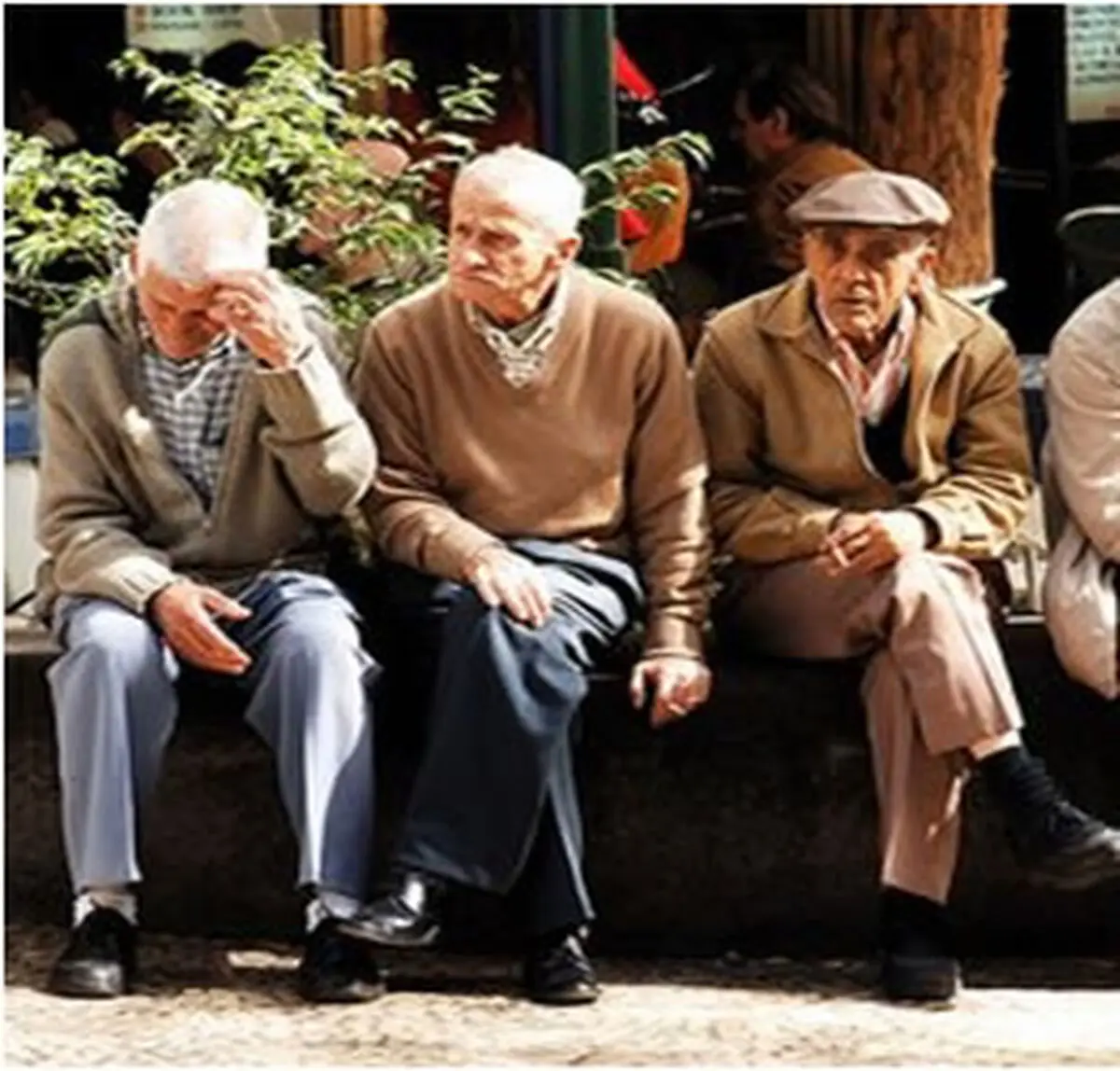 اخبار آرشیوی