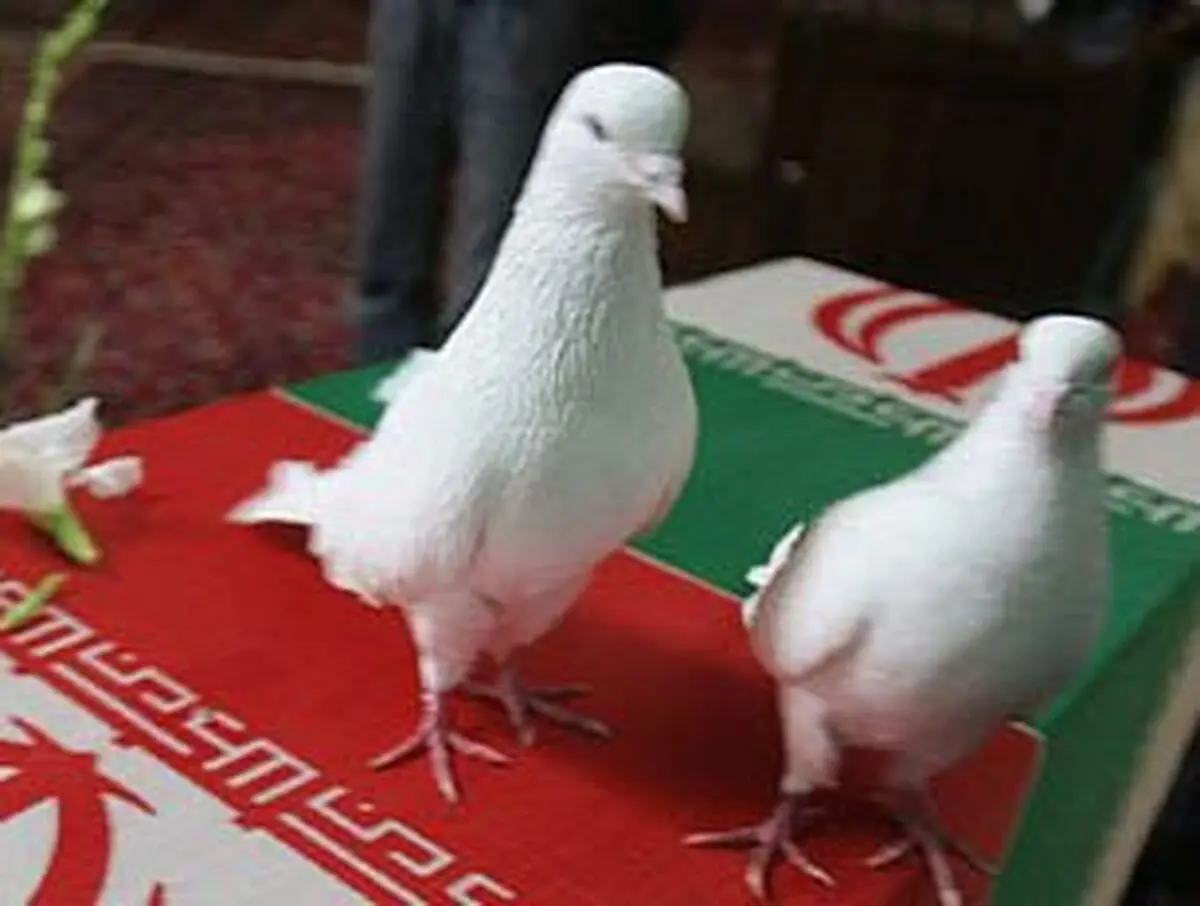 اخبار آرشیوی