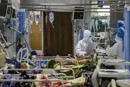  عضو ستاد کرونا: تعداد واقعی مبتلایان، ۴ برابر رقم اعلامی است 