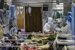  عضو ستاد کرونا: تعداد واقعی مبتلایان، ۴ برابر رقم اعلامی است 