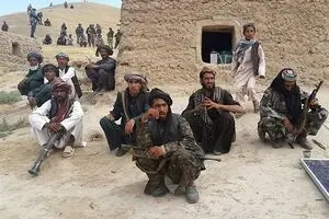 پشت پرده سقوط سریالی شهرها در افغانستان
