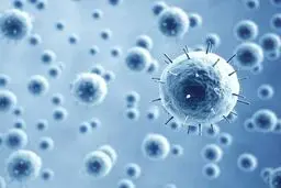 هانتاویروس اصلا شبیه کووید۱۹ نیست