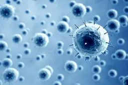 هانتاویروس اصلا شبیه کووید۱۹ نیست