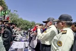 دستگیری ۲۳۰ سارق و مالخر در پایتخت