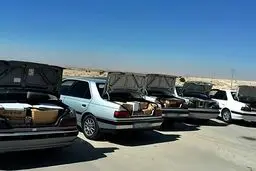 رشد پیشگیری از قاچاق در ماه گذشته