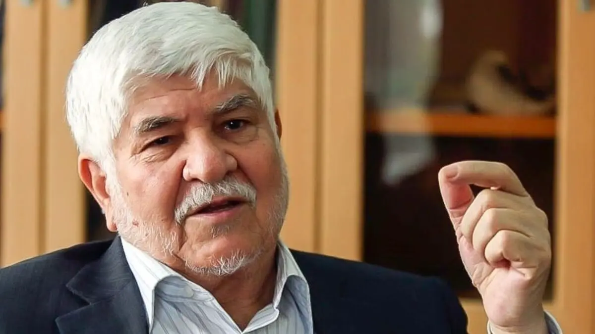 محمد هاشمی: شفافیت یعنی رانت اطلاعاتی در دولت نباشد