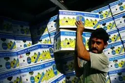 موز ۱۶ هزار تومانی، ۵۰ هزار تومان بفروش می‌رسد