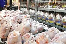  دستگیری‌ ۸ دلال مرغ + جزئیات 