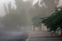 
هشدار هواشناسی نسبت به وزش باد شدید و خیزش گرد و خاک در ۲۲ استان

