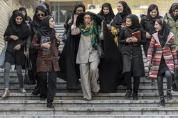 اکران سینمایی «جوجه تیغی» از 24 آبان