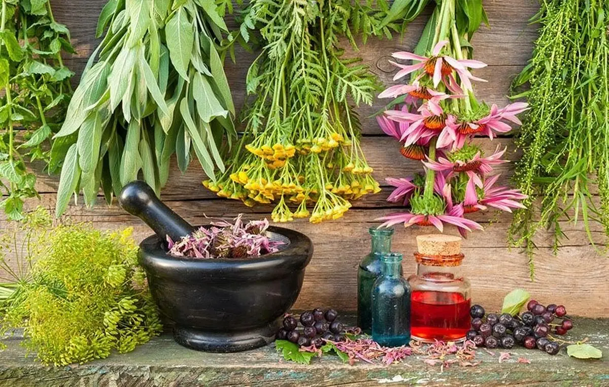 آیا عصاره چای سبز معجزه ای برای درمان دیابت است