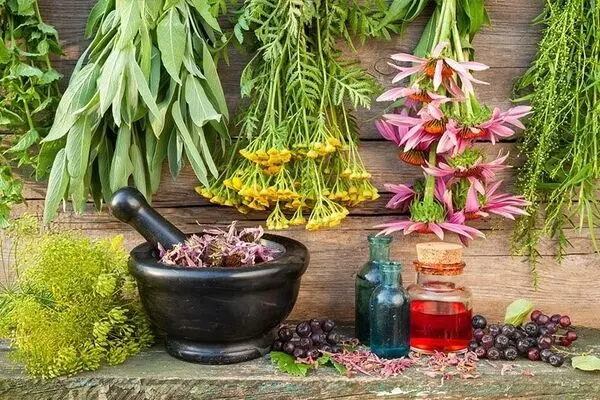آیا عصاره چای سبز معجزه ای برای درمان دیابت است