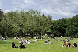 برای پیک‌ نیک در تهران کجا بریم (کامل‌ترین لیست)