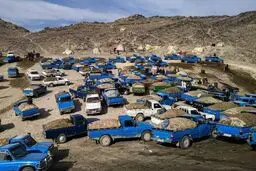 25 هزار پرزونده برای قاچاق‌چیان سوخت