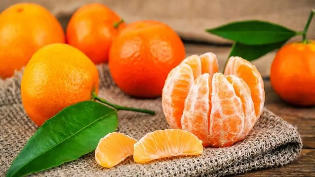 علت گرانی نارنگی در بازار مشخص شد