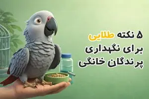 5 نکته طلایی برای نگهداری حرفه‌ای پرندگان زینتی