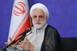 اژه‌ای: ۲۱۰ گلوگاه فساد شناسایی و به دولت اعلام شد
