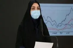 سخنگوی وزارت بهداشت: میزان رعایت پروتکل‌های بهداشتی کاهش یافته است