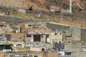 حل معضل حاشیه‌نشینی وابسته به علل بروز آن است