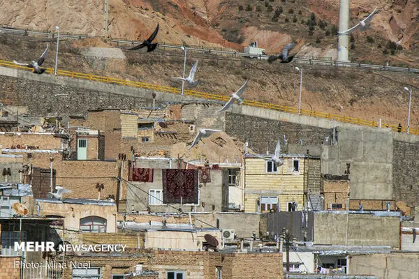 حل معضل حاشیه‌نشینی وابسته به علل بروز آن است
