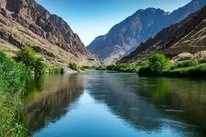 آلودگی ارس بر عهده کیست؟