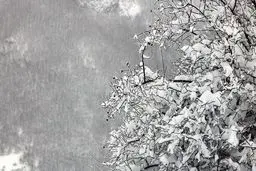  آخر هفته در کدام استان‌ها برف و باران می‌بارد؟ 