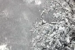  آخر هفته در کدام استان‌ها برف و باران می‌بارد؟ 