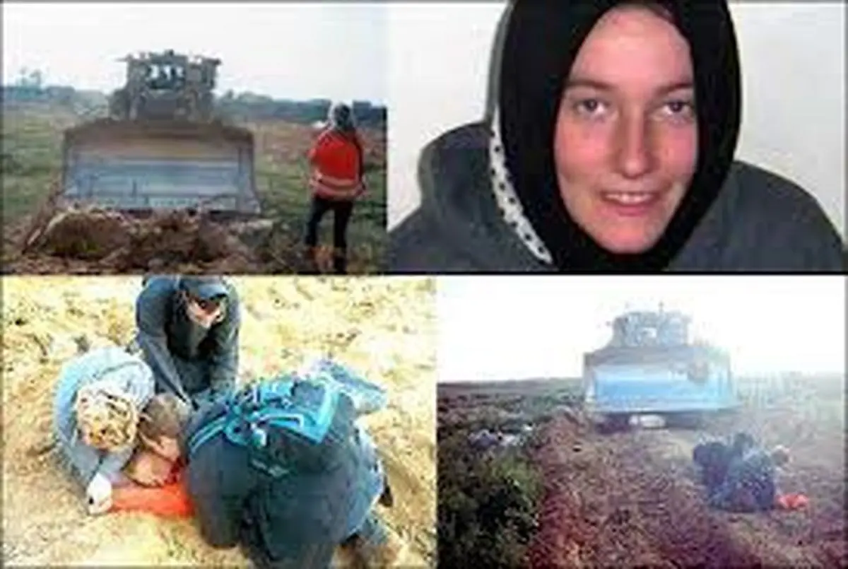 اخبار آرشیوی