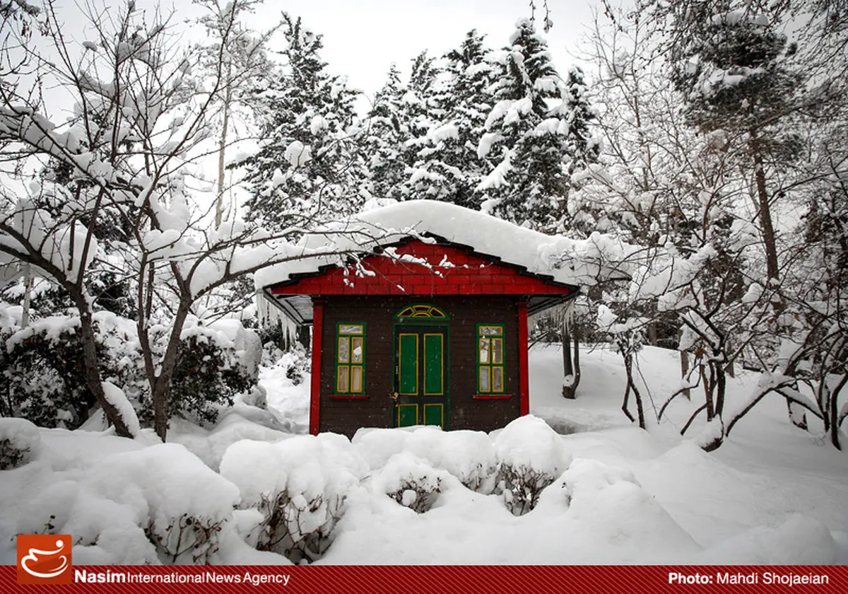 اخبار آرشیوی