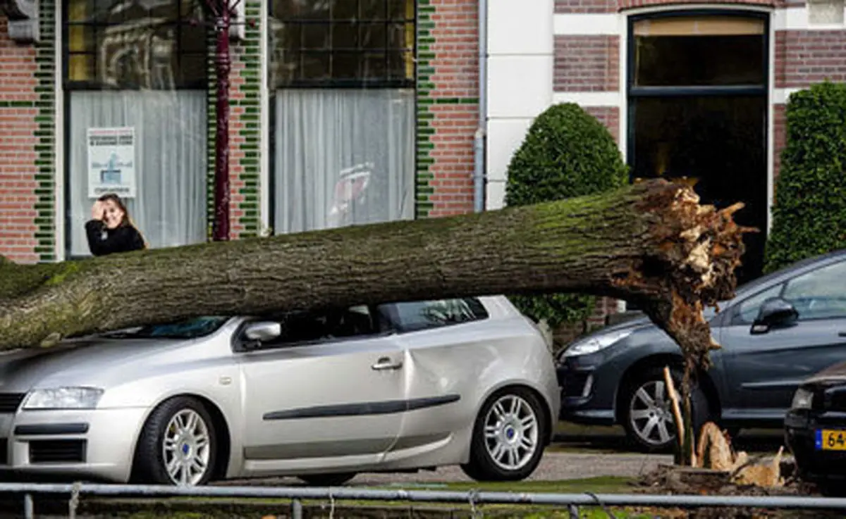 اخبار آرشیوی