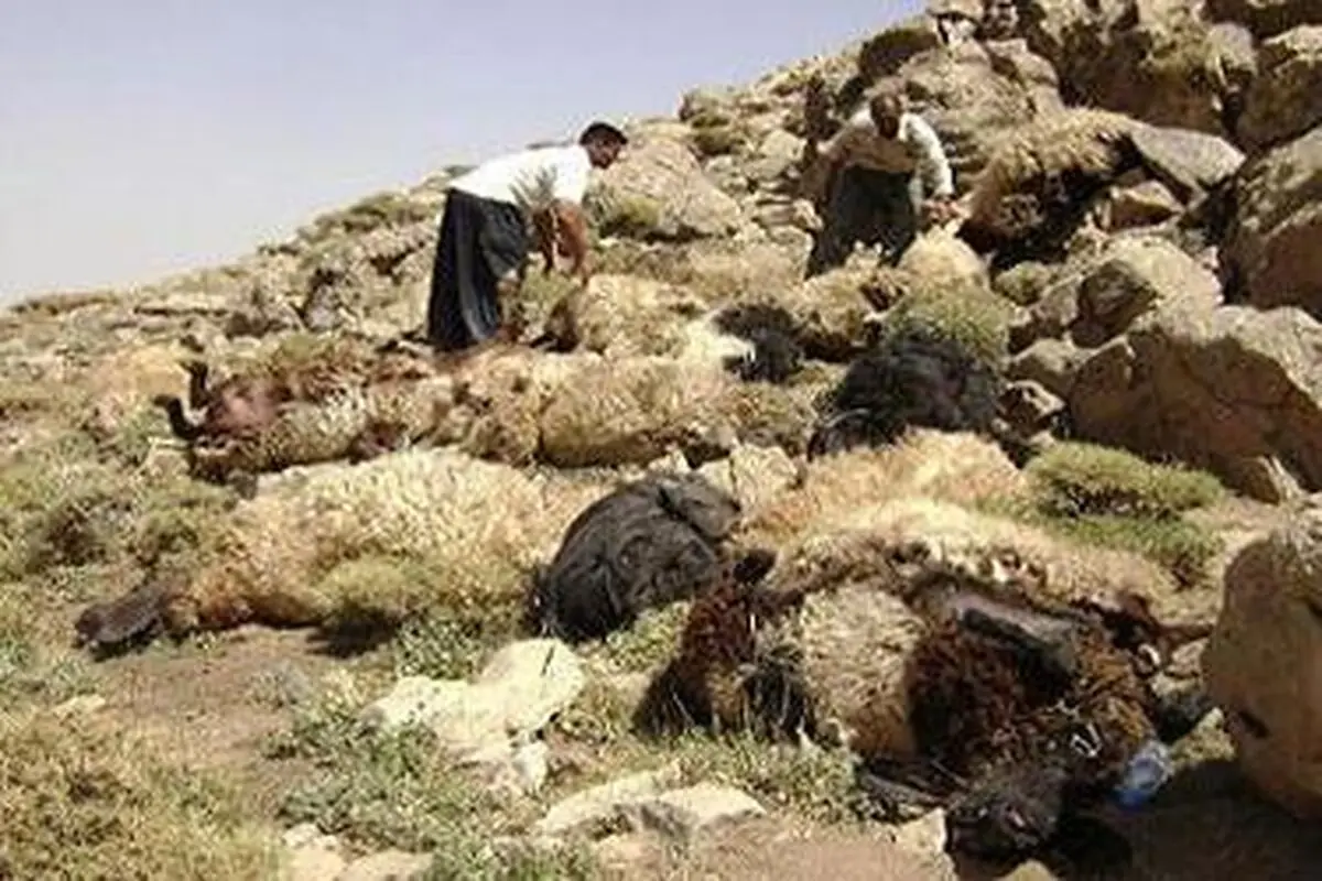 اخبار آرشیوی