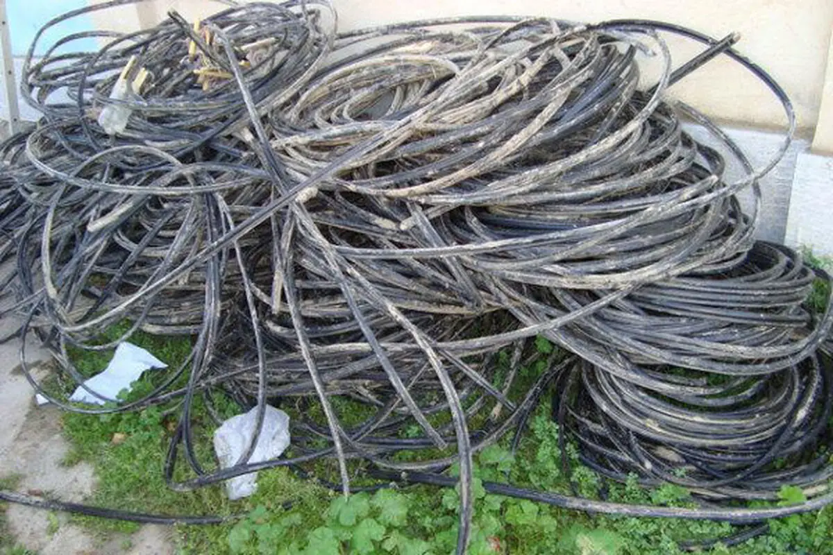 اخبار آرشیوی