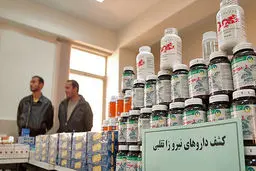 اخبار آرشیوی