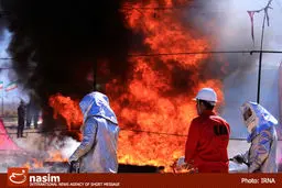 اخبار آرشیوی